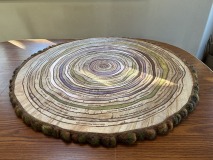 tree-rings-charitable-donor-wood-and-metal-oversized-art-installation